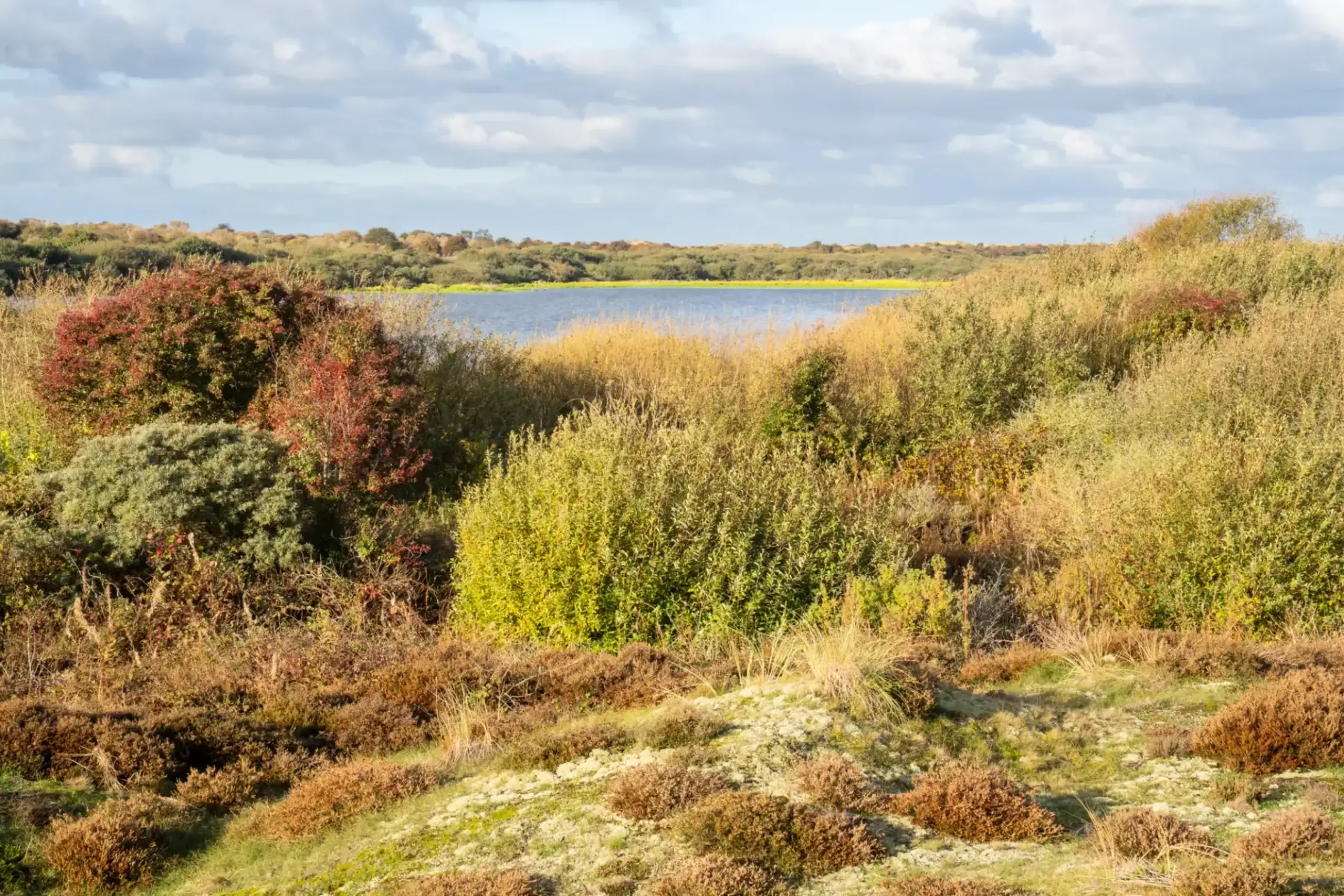 Aussichtspunkt Geulplas
