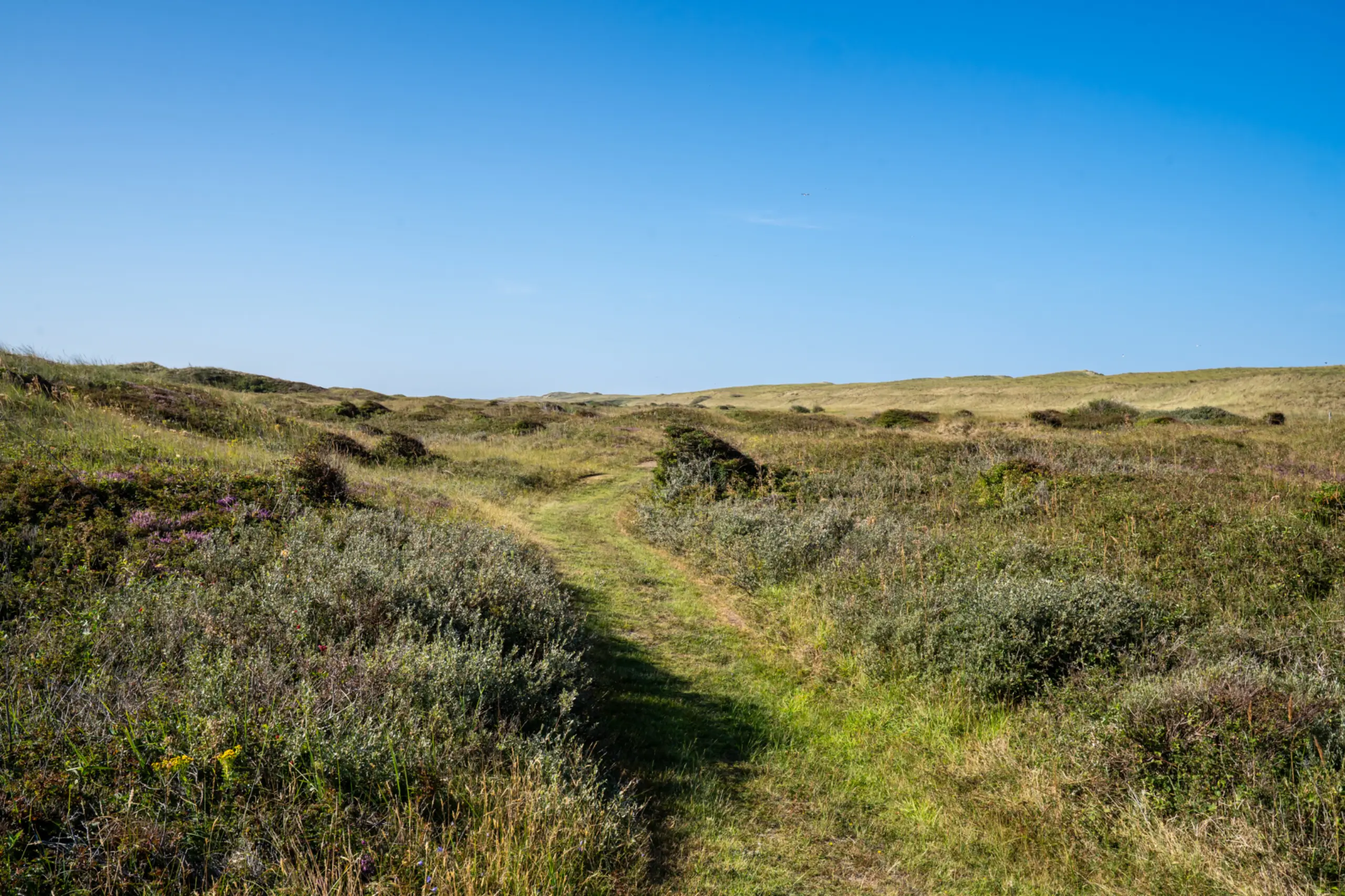 Green route Westerduinen